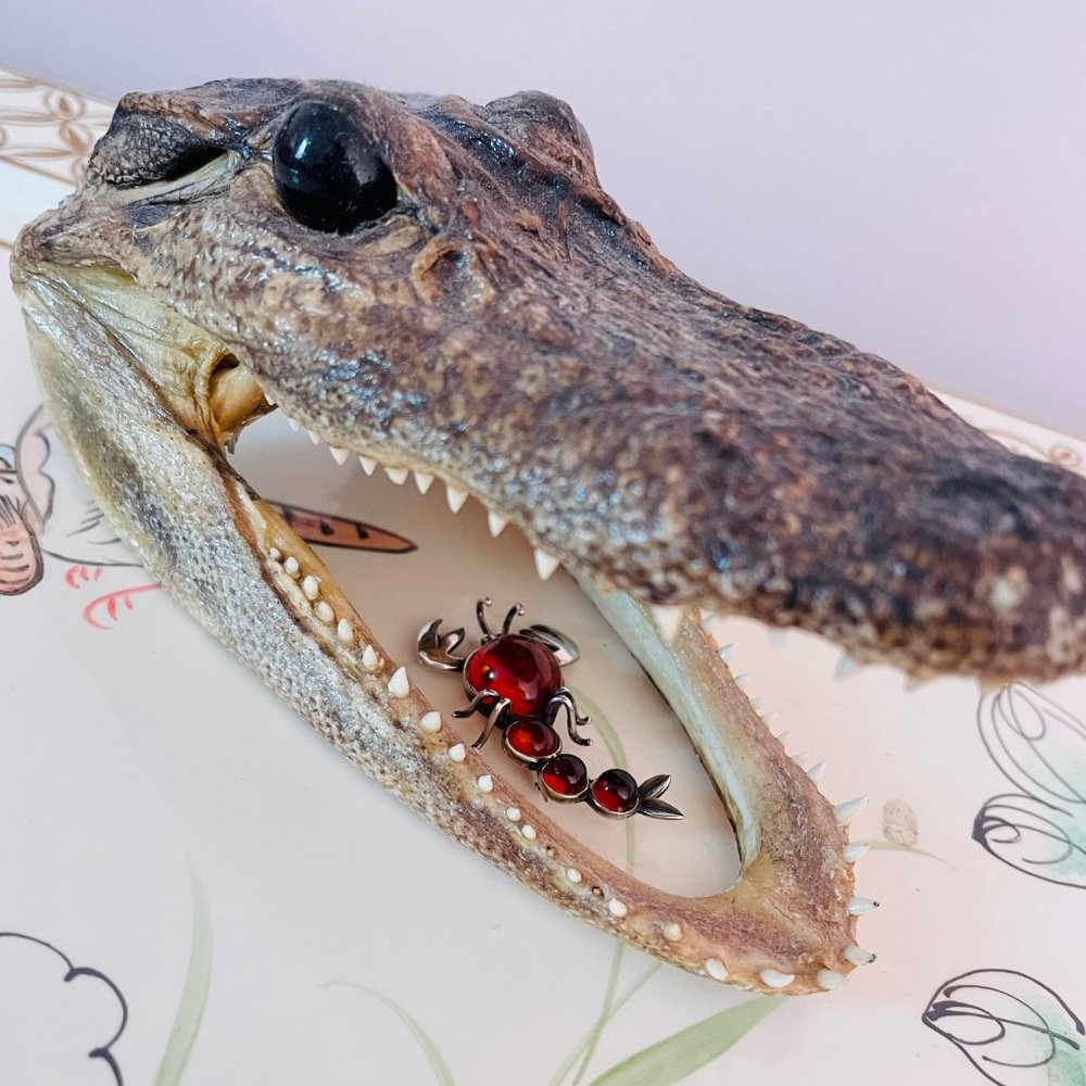 A mouthful of amber jewelry!